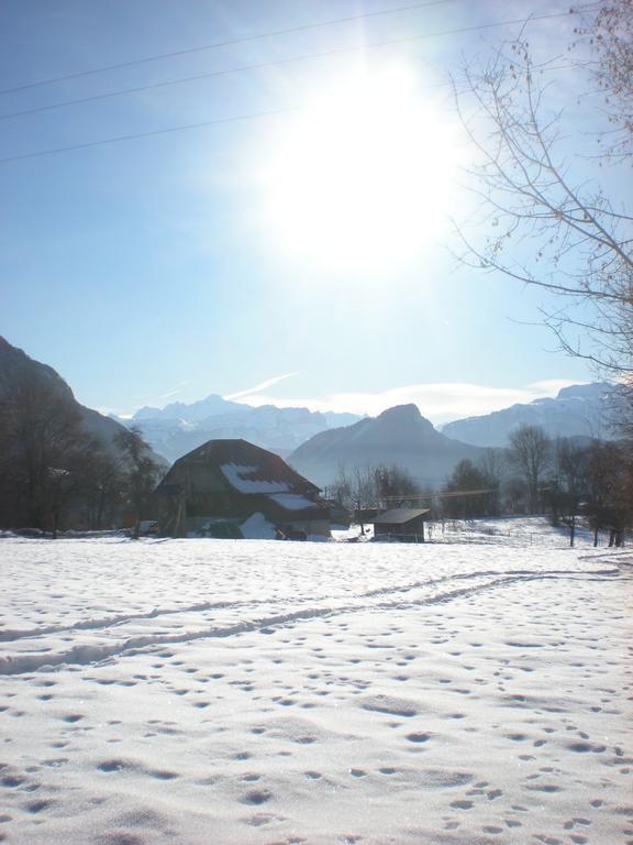 Les Paddocks Du Mont Blanc Hotel Mieussy Luaran gambar